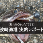 【2021年】波崎新漁港が全然釣れない？→そんなことはなかった件【爆釣】